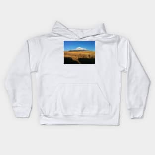 Fuji-san Kids Hoodie